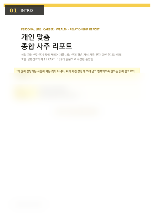 리포트 미리보기 1
